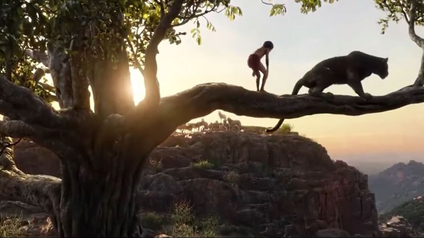 The Jungle Book (2016)