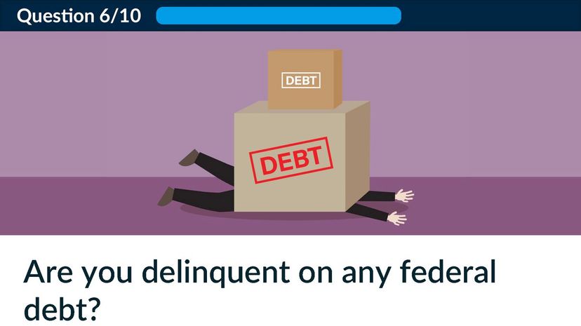 Are you delinquent on any federal debt?