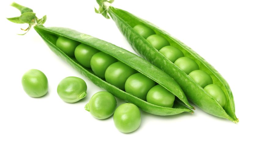 Pea