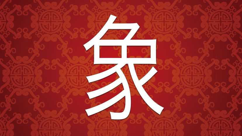 elephant XiÃ ng