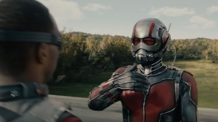 28 ant man