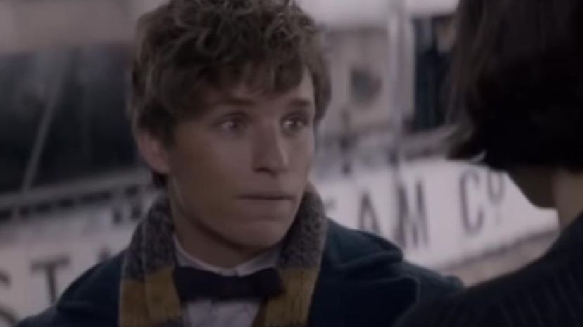 Newt Scamander