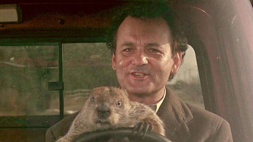 Groundhog Day