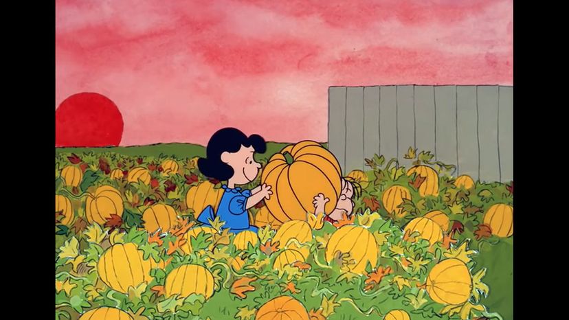 It's the Great Pumpkin, Charlie Brown