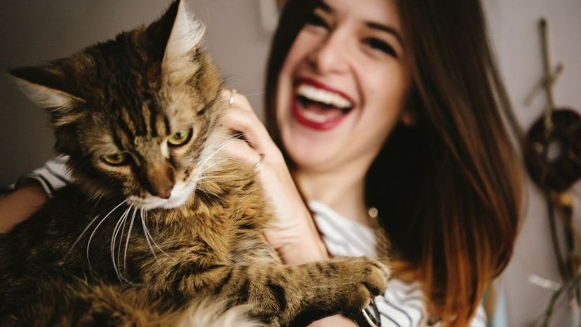Does Your Cat Think You Are a Good Roommate?