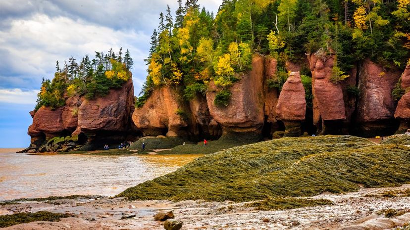 Hopewell Rocks