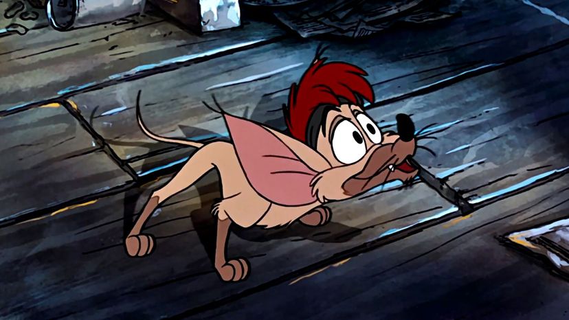 Oliver &amp; Company chihuahua