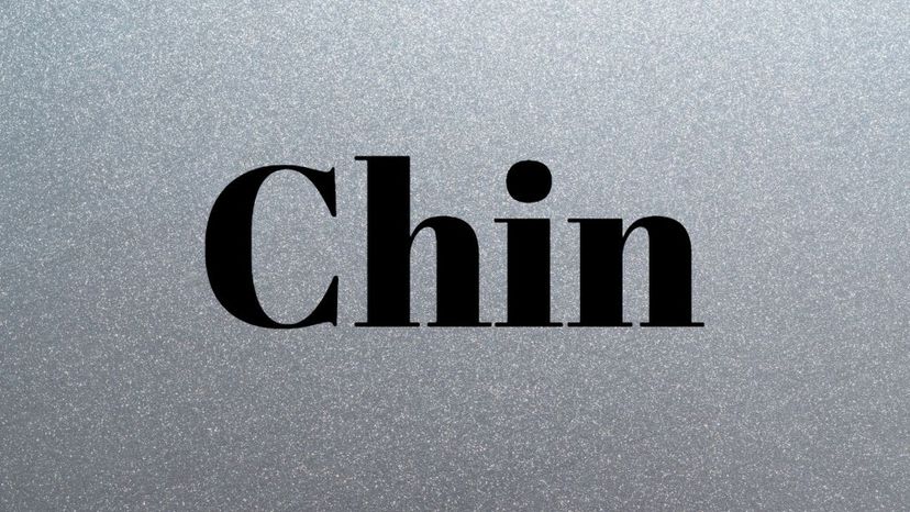 Chin (Inch)