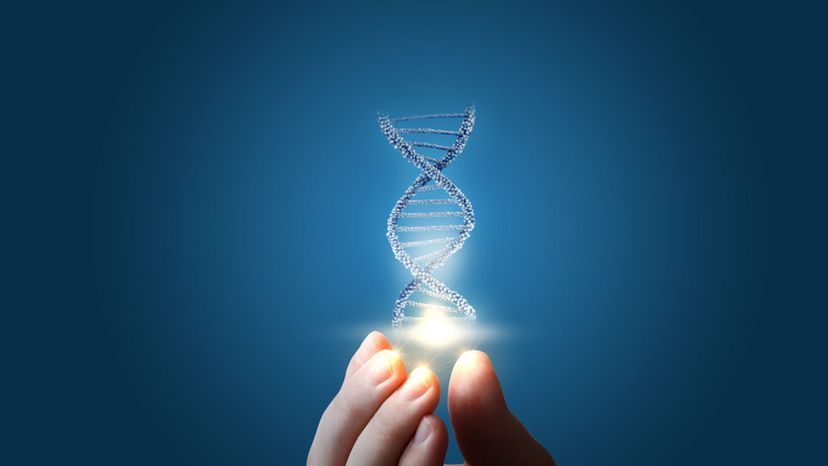 Which Unique Trait Is Hidden in Your DNA?