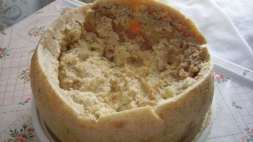 Casu Marzu