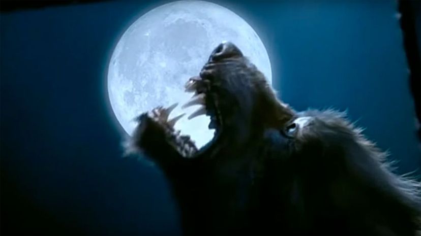 Werewolf