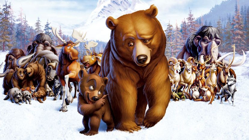 Which Character from Brother Bear are You?