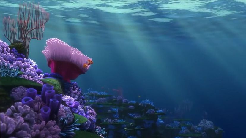 Nemo's Home Reef