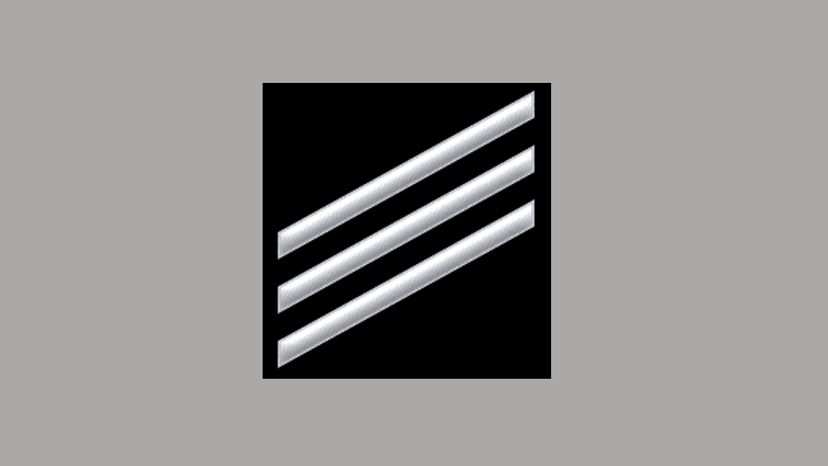 This insignia is for a ________