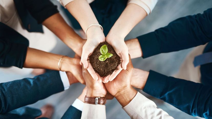 Hands holding a budding plant growing out of soil