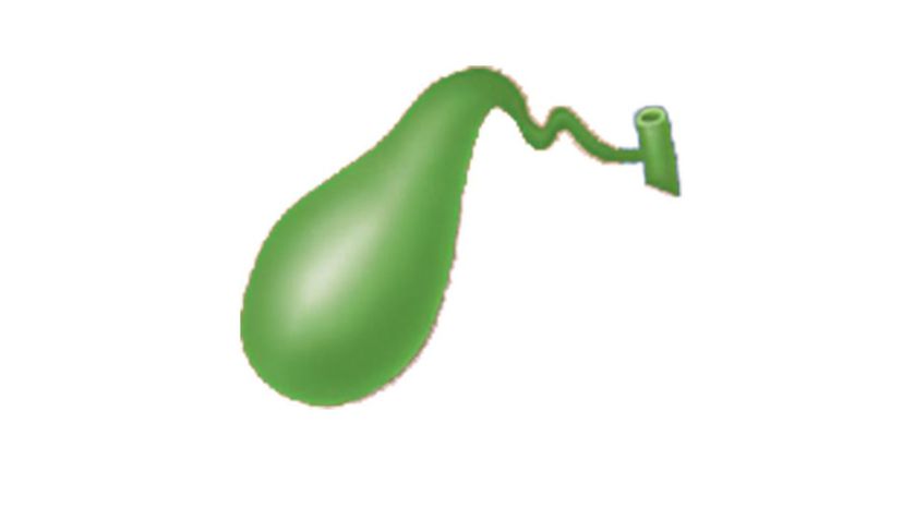 Gallbladder