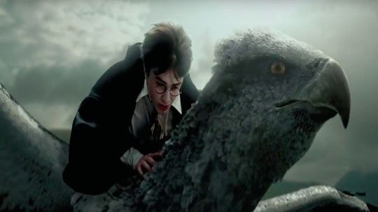 Which "Harry Potter" Creature Is Your Spirit Animal?