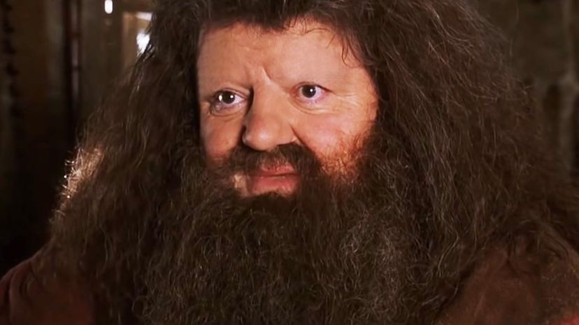 Rubeus Hagrid