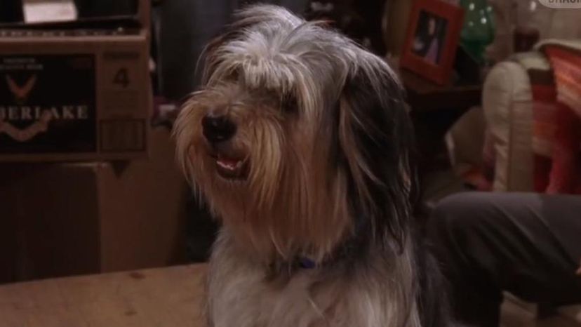 Paul Anka -- Gilmore Girls