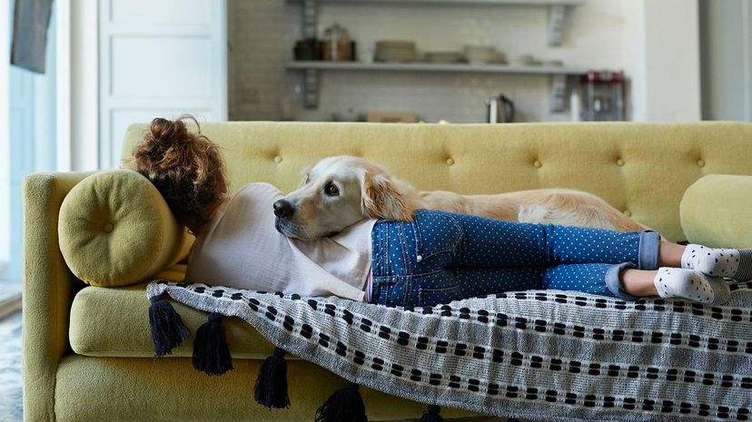 Dog and woman snuggling on couch