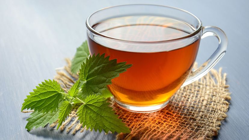 Cup of Tea