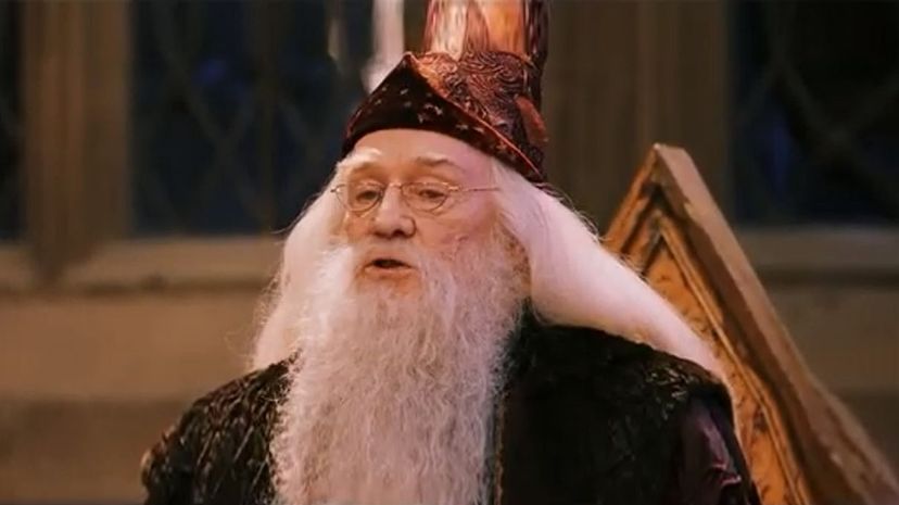 Albus Dumbledore22