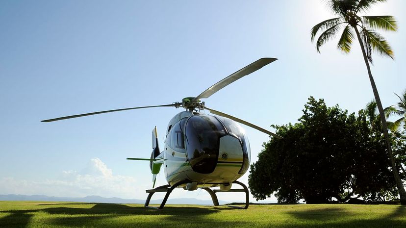 Helicopter and palm tree