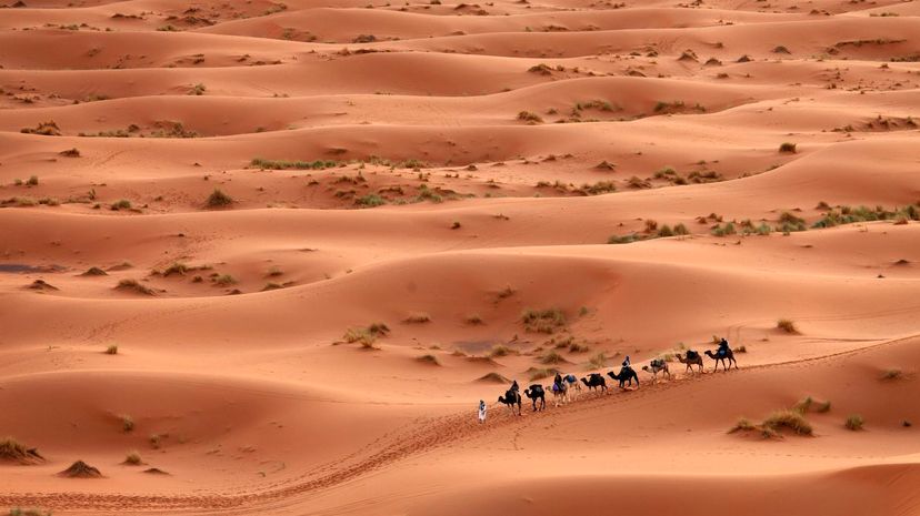 Desert Sahara