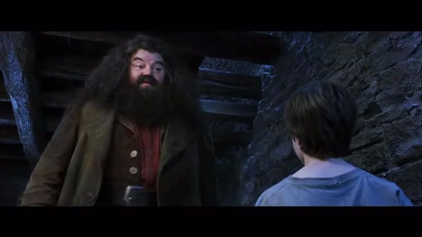 Rubeus Hagrid