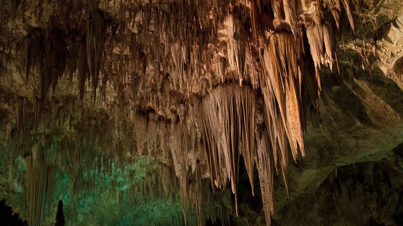 19 Carlsbad Caverns