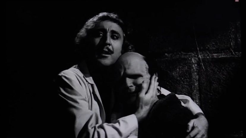 Young Frankenstein
