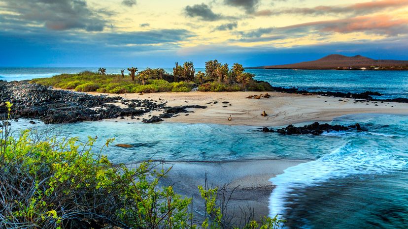 The Galapagos Islands