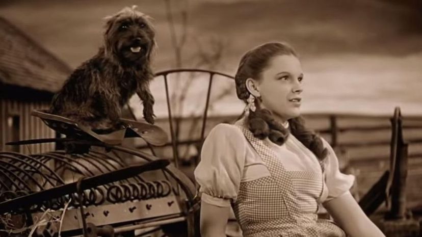 16 - Dorothy Gale