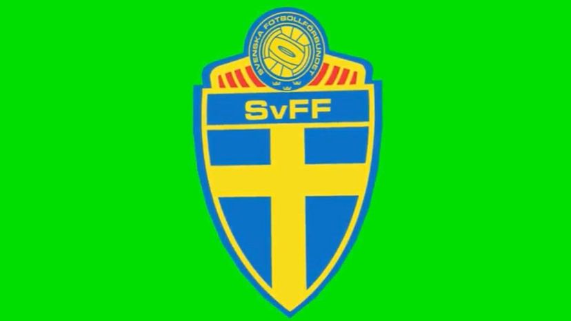 Sweden National Football Team