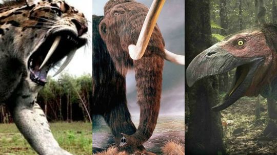 Which Prehistoric Creature Are You?