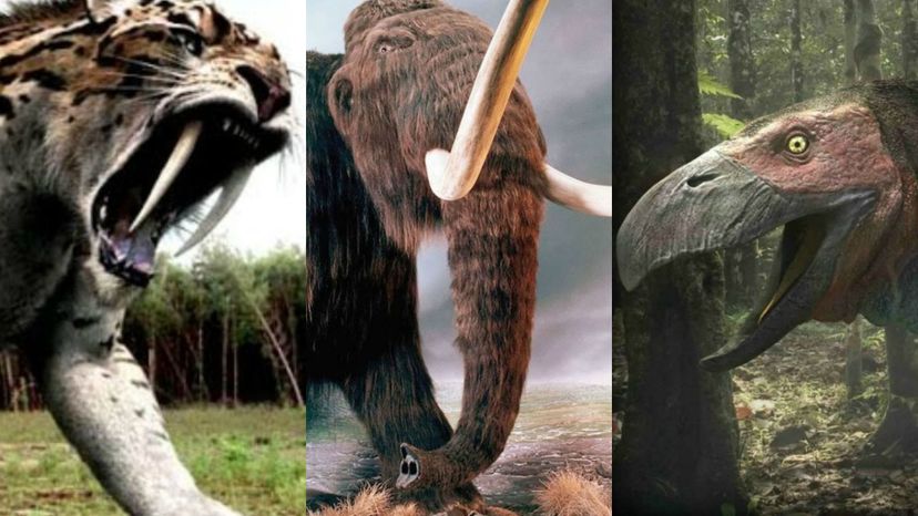 Which Prehistoric Creature Are You?