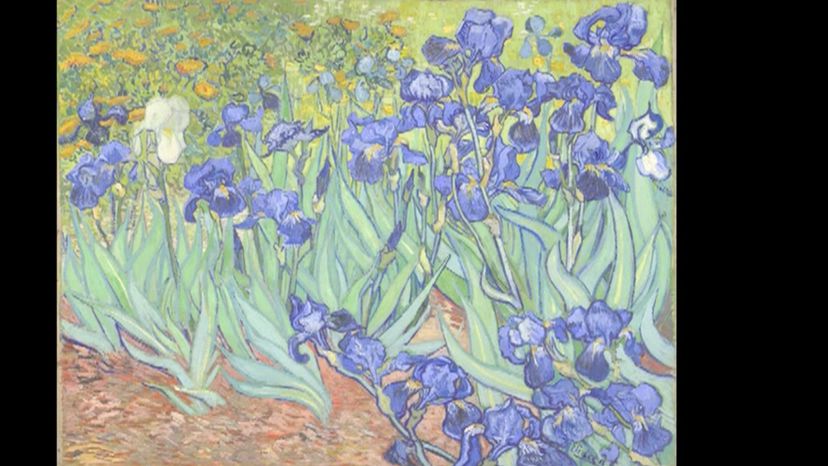 Irises