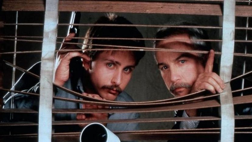 Stakeout (1987)