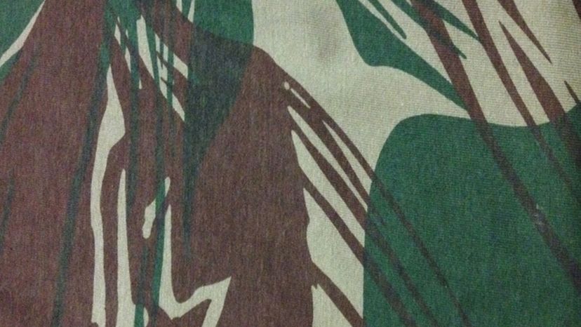 Rhodesian Brushstroke