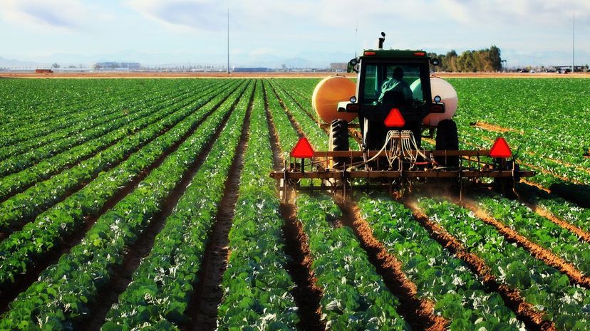 Row crop cultivator