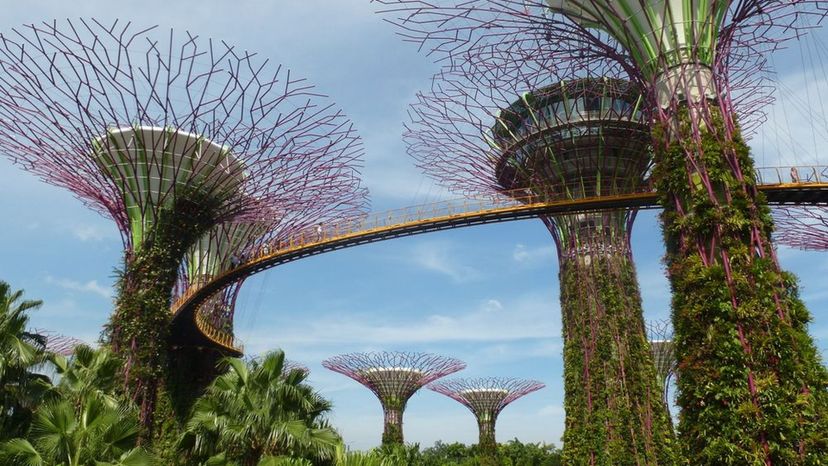 Gardens By The Bay Singapore