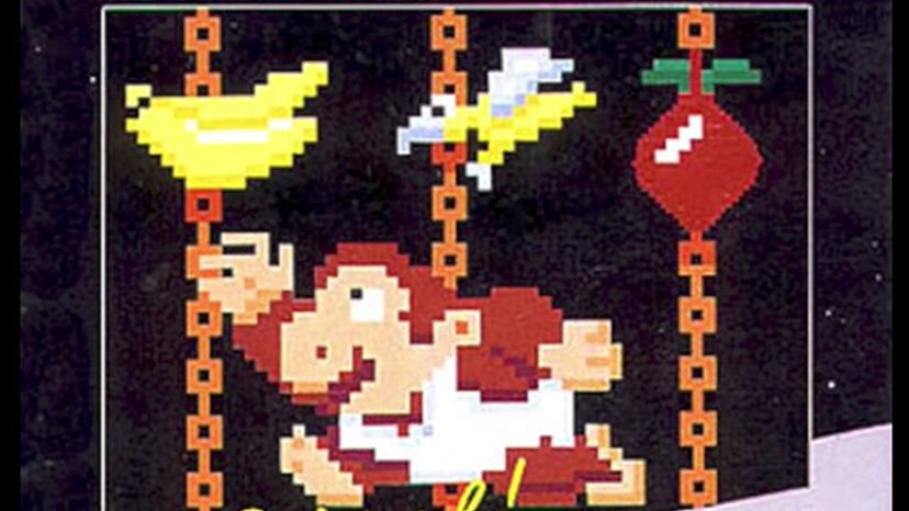 Donkey Kong Jr.