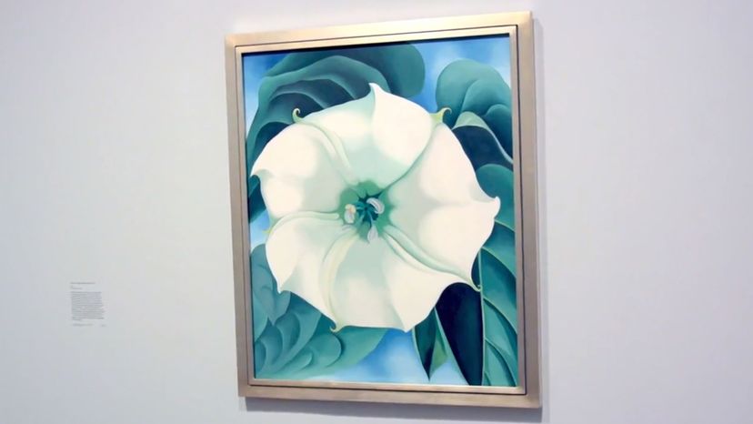 Jimson Weed/White Flower No. 1, Georgia O'Keeffe