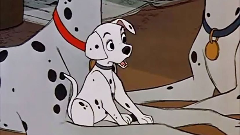 101 Dalmatians - Patch Dalmatian