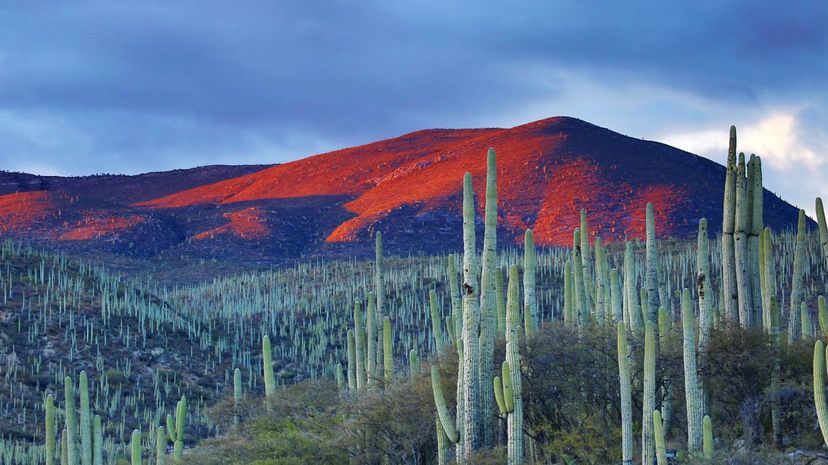 ¿Puedes contestar correctamente más de 11 preguntas en este quiz de geografía de México?