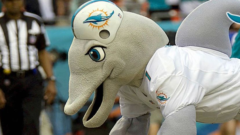 Real World NFL Mascots (Pictures) Quiz - By CDB1986