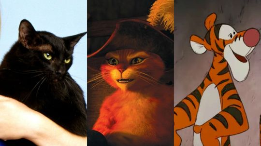 Which Famous TV Cat are you?