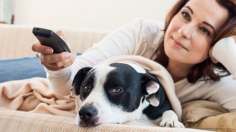 Woman watching television with dog