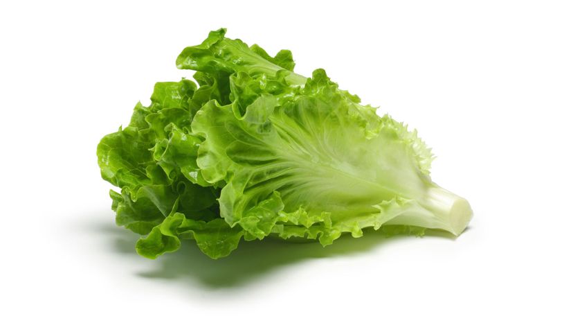 32 lettuce GettyImages-153491286
