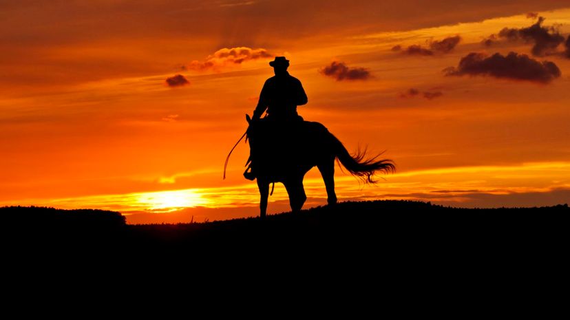 19 - cowboy riding